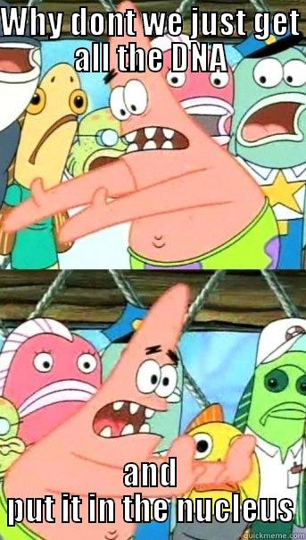 WHY DONT WE JUST GET ALL THE DNA AND PUT IT IN THE NUCLEUS Push it somewhere else Patrick