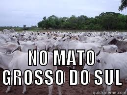  NO MATO GROSSO DO SUL Misc