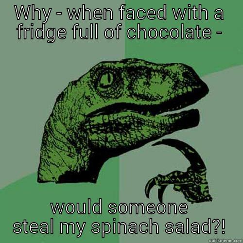 WHY - WHEN FACED WITH A FRIDGE FULL OF CHOCOLATE - WOULD SOMEONE STEAL MY SPINACH SALAD?! Philosoraptor