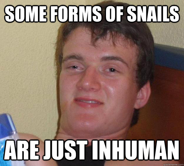 Some forms of snails are just inhuman - Some forms of snails are just inhuman  10 Guy