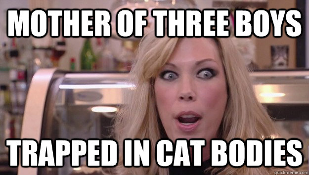 Mother of three boys trapped in cat bodies  Crazy Amy