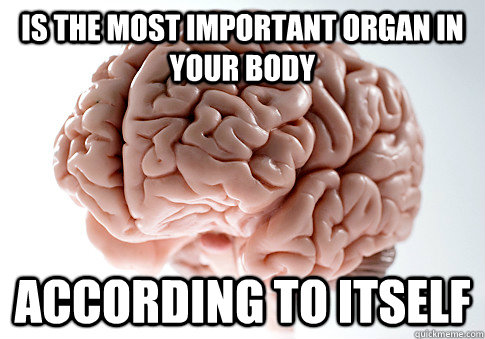 Is the most important organ in your body according to itself  Scumbag Brain