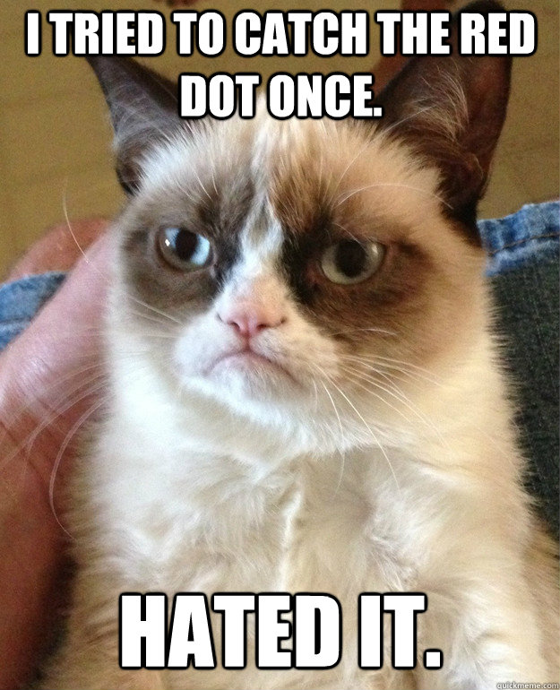 i tried to catch the red dot once. hated it.  Grumpy Cat