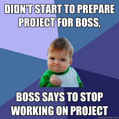 Didn't start to prepare project for boss, Boss says to stop working on project  Success Kid