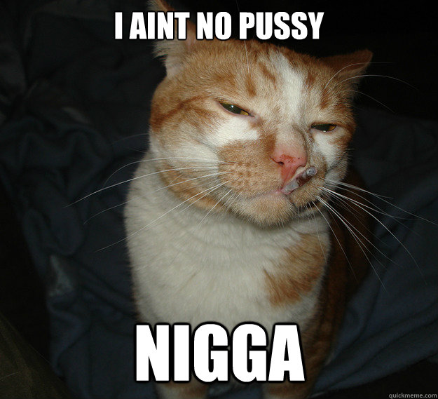 i aint no pussy nigga - i aint no pussy nigga  Cool Cat Craig
