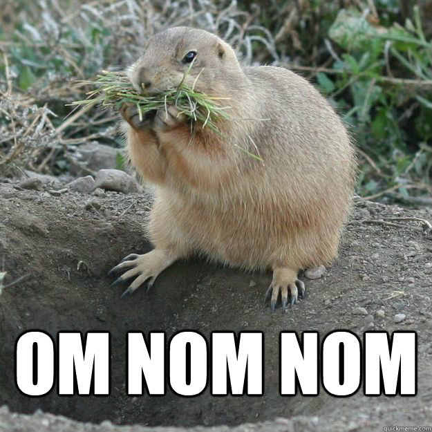  OM NOM NOM -  OM NOM NOM  Prairie Dog Nom