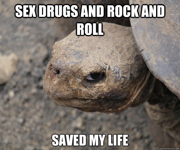 sex drugs and rock and roll saved my life  Insanity Tortoise