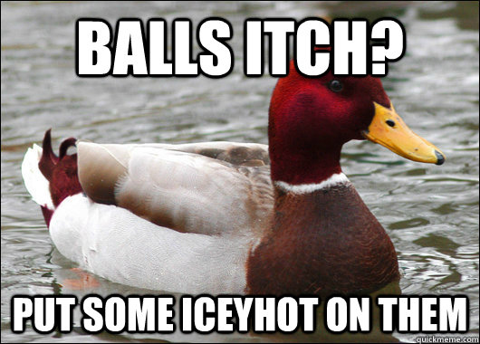 Balls itch? Put some iceyhot on them  Malicious Advice Mallard