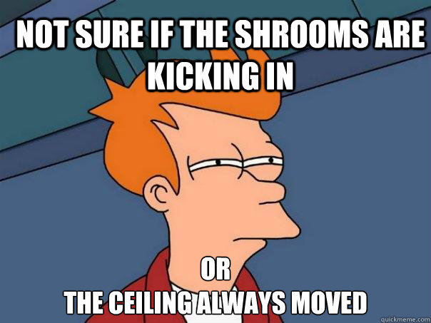 Not sure if the shrooms are kicking in Or
the ceiling always moved  Futurama Fry