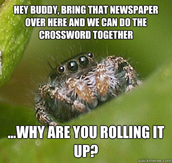 hey buddy, bring that newspaper over here and we can do the crossword together ...why are you rolling it up?  Misunderstood Spider