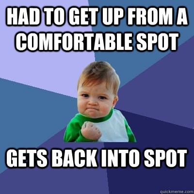 Had to get up from a comfortable spot Gets back into spot  Success Kid