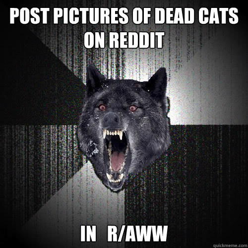 Post pictures of dead cats on reddit In   r/aww  