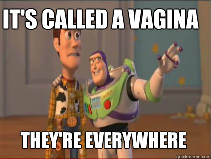 It's called A vagina They're everywhere  woody and buzz