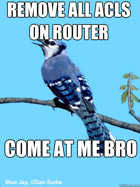 REMOVE ALL ACLs ON ROUTER COME at me bro - REMOVE ALL ACLs ON ROUTER COME at me bro  Blue Team Bird
