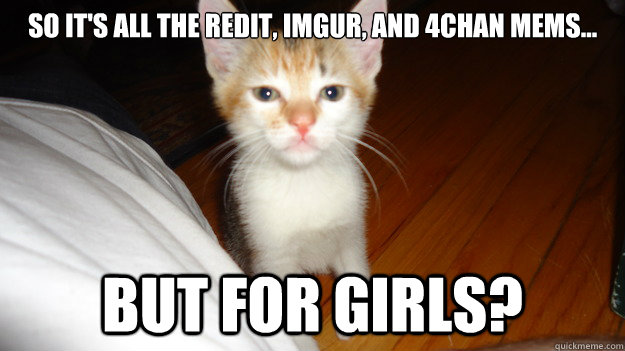 So it's all the Redit, Imgur, and 4chan mems...  but for girls? - So it's all the Redit, Imgur, and 4chan mems...  but for girls?  Kublai cat