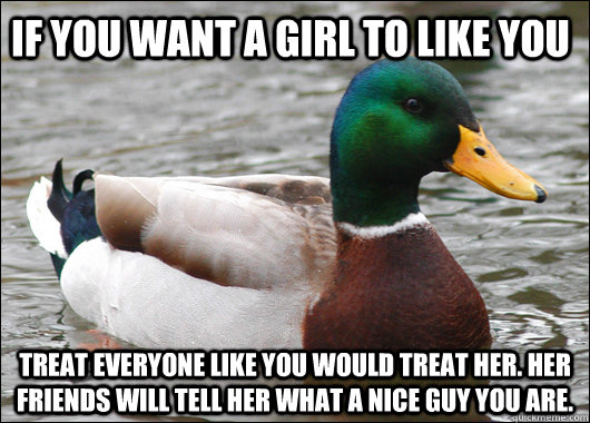 If you want a girl to like you Treat everyone like you would treat her. Her friends will tell her what a nice guy you are.  Actual Advice Mallard