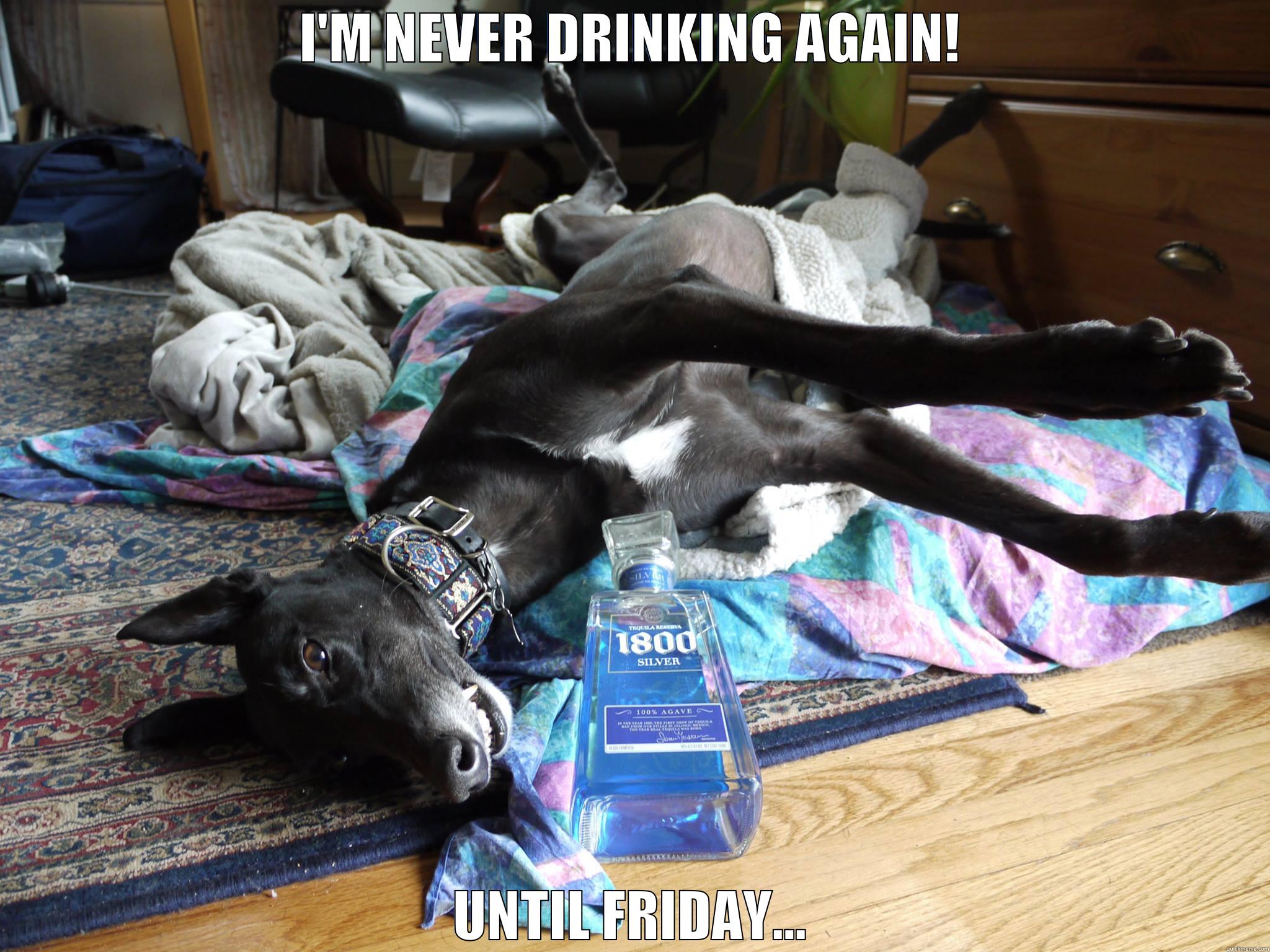 The Hungover Dog Says - I'M NEVER DRINKING AGAIN! UNTIL FRIDAY... Misc