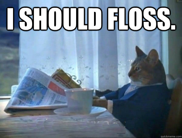I should floss.   morning realization newspaper cat meme