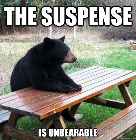 The suspense is unbearable  waiting bear