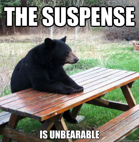 The suspense is unbearable - The suspense is unbearable  waiting bear