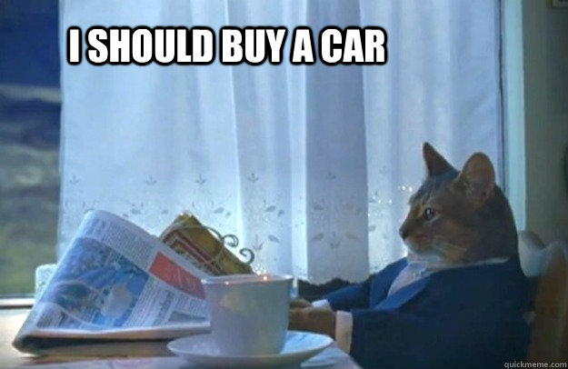 I should buy a car  Sophisticated Cat