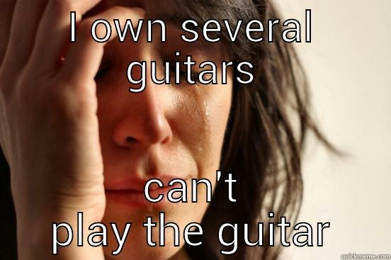 I OWN SEVERAL GUITARS CAN'T PLAY THE GUITAR First World Problems