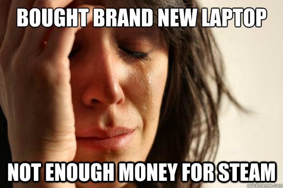 Bought brand new laptop not enough money for steam  First World Problems