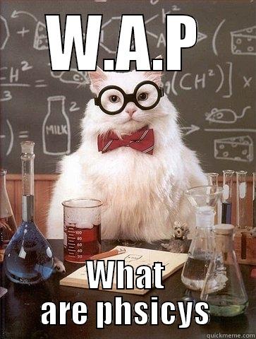 W.A.P WHAT ARE PHSICYS Chemistry Cat