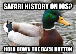 Safari History on iOS? Hold down the back button  Good Advice Duck