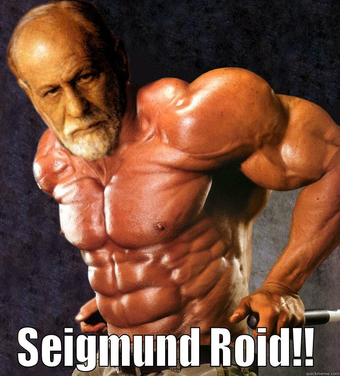 roid rage -  SEIGMUND ROID!!! Misc