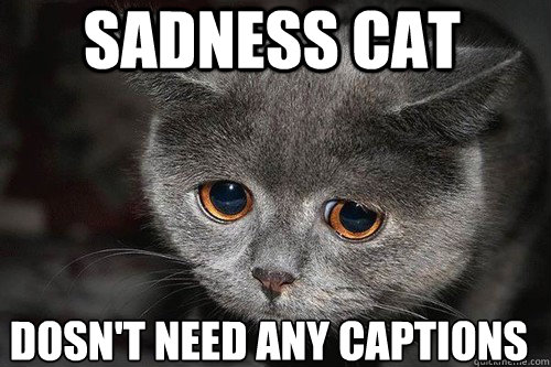 sadness cat dosn't need any captions  
