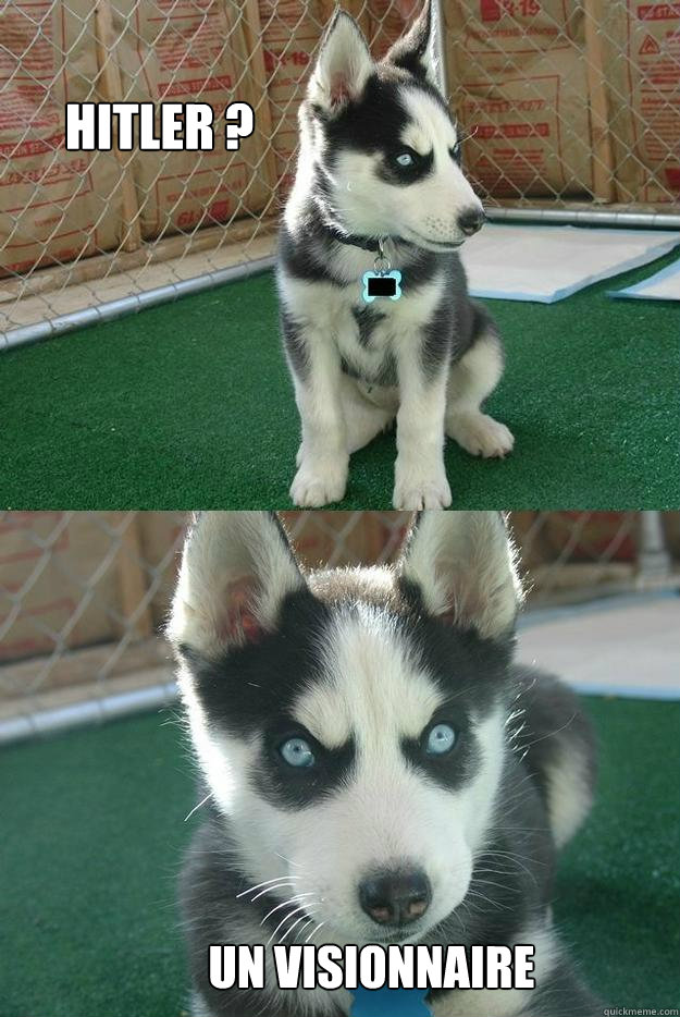 Hitler ? un visionnaire  Insanity puppy