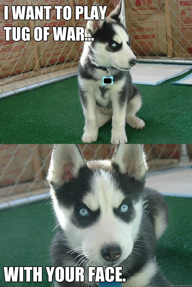 I want to play 
tug of war... With your face.  Insanity puppy