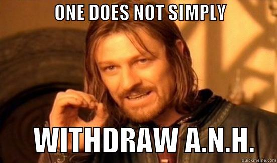                ONE DOES NOT SIMPLY                       WITHDRAW A.N.H.    Boromir