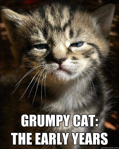  Grumpy Cat:
The Early Years -  Grumpy Cat:
The Early Years  Misc