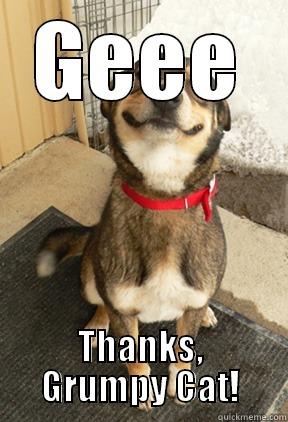 GEEE THANKS, GRUMPY CAT! Good Dog Greg