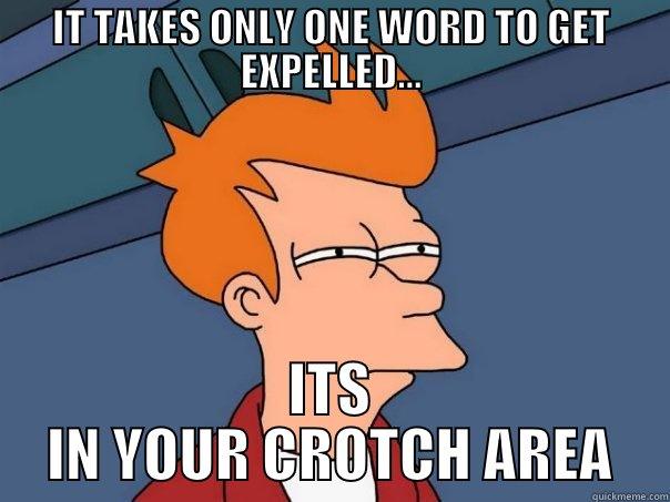 IT TAKES ONLY ONE WORD TO GET EXPELLED... ITS IN YOUR CROTCH AREA Futurama Fry