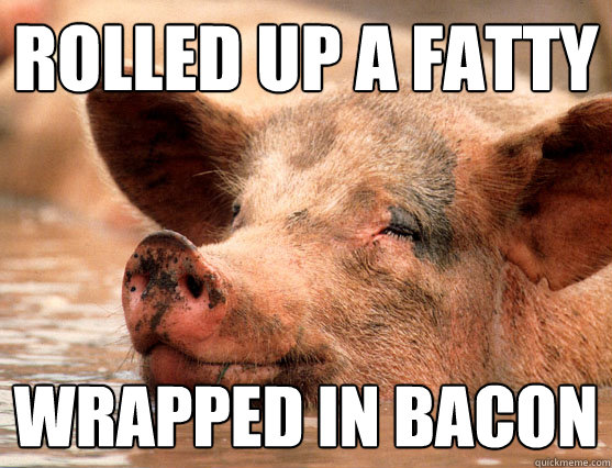 Rolled up a fatty wrapped in bacon  Stoner Pig