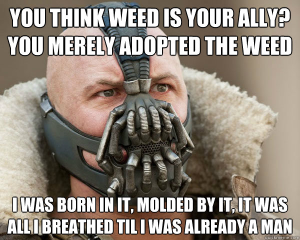 You think weed is your ally? you merely adopted the weed I was born in it, molded by it, it was all i breathed til i was already a man  Bane Connery