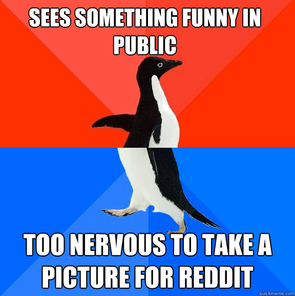 sees something funny in public too nervous to take a picture for reddit  Socially Awesome Awkward Penguin