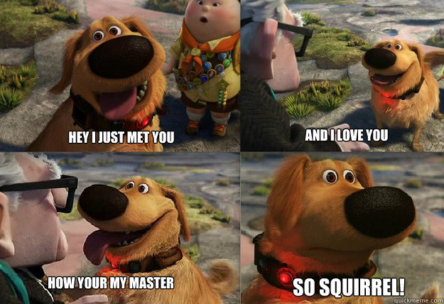 Hey i just met you and i love you so Squirrel! how your my master  Dug Squirrel