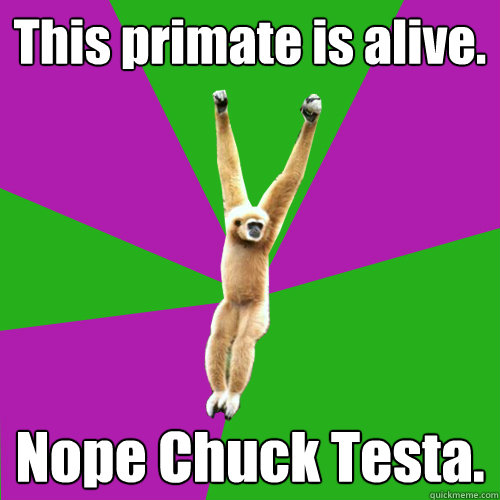 This primate is alive. Nope Chuck Testa.  Over-used quote gibbon