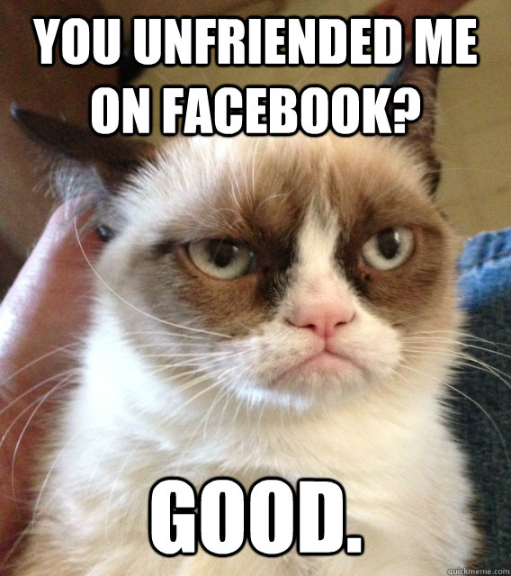 You Unfriended Me on Facebook? Good. - You Unfriended Me on Facebook? Good.  Misc