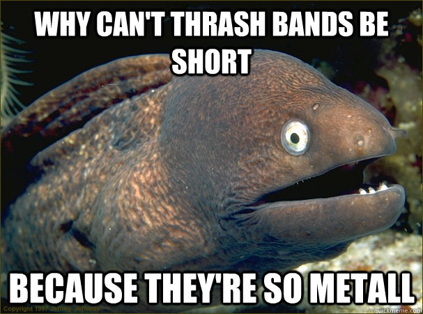 why can't thrash bands be short because they're so metall - why can't thrash bands be short because they're so metall  Bad Joke Eel