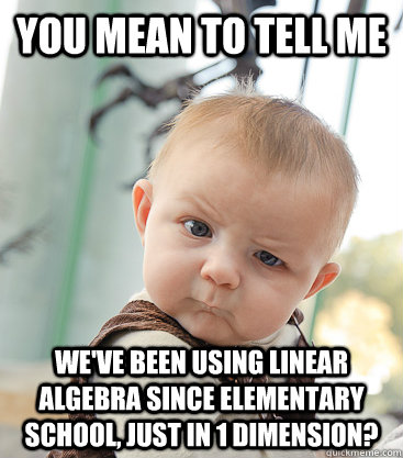 you mean to tell me we've been using linear algebra since elementary school, just in 1 dimension? - you mean to tell me we've been using linear algebra since elementary school, just in 1 dimension?  skeptical baby