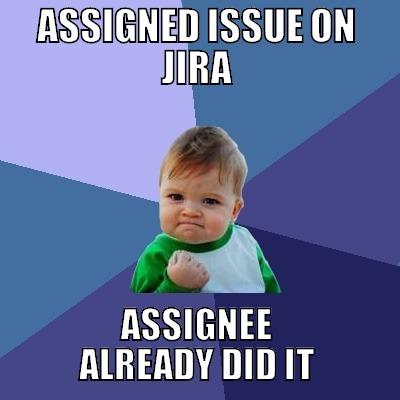 ASSIGNED ISSUE ON JIRA ASSIGNEE ALREADY DID IT Success Kid