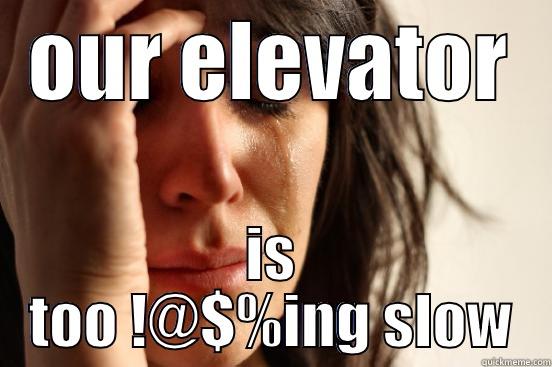 OUR ELEVATOR IS TOO !@$%ING SLOW First World Problems