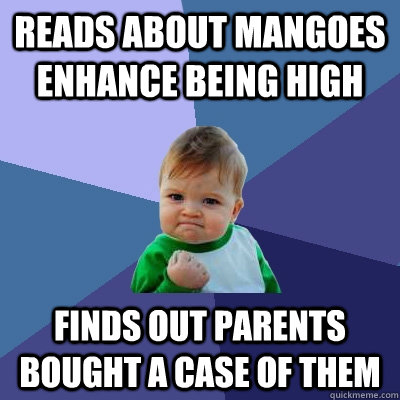 Reads about mangoes enhance being high Finds out parents bought a case of them  Success Kid