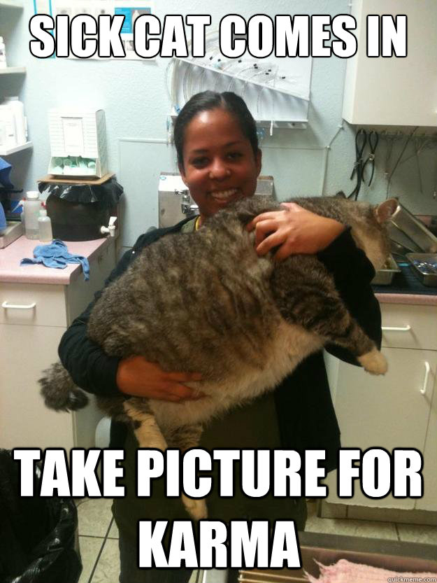 sick cat comes in take picture for karma  Scumbag Veterinarian