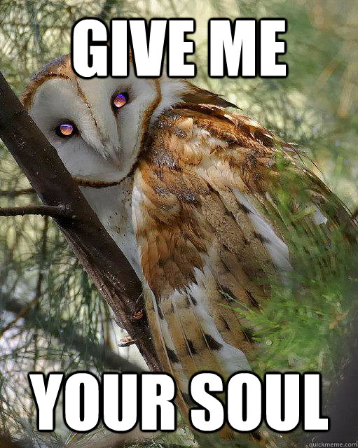 Give me your soul - Give me your soul  Diablo Owl